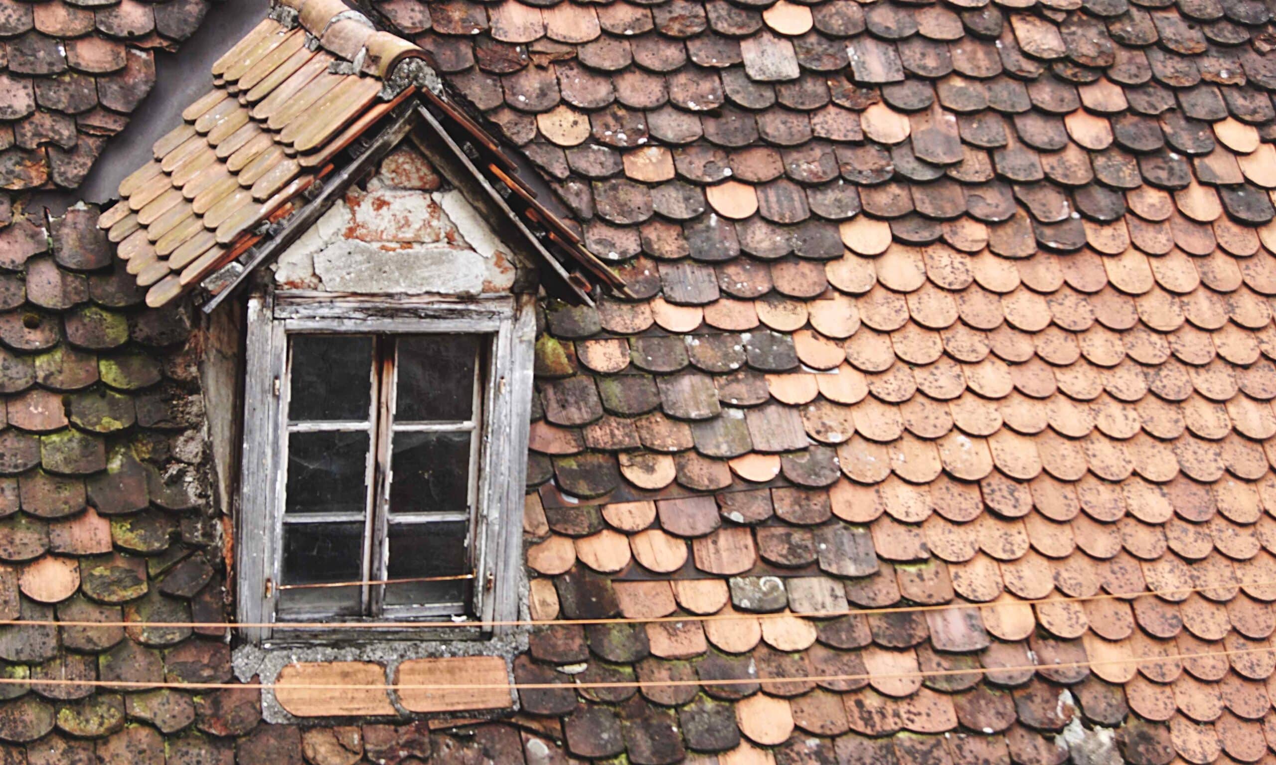Maintenance for Shingle Roofs