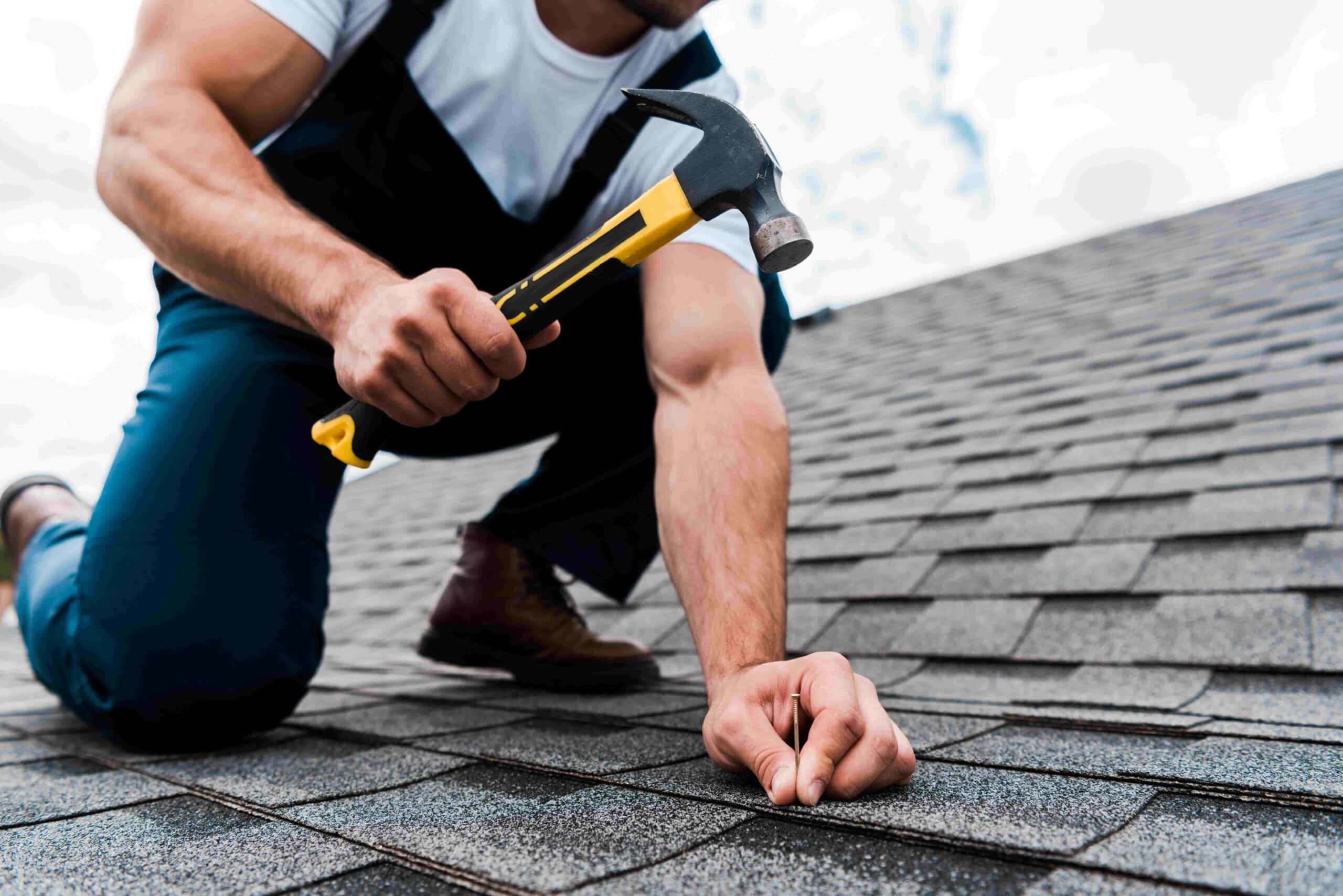 Professional Roofer