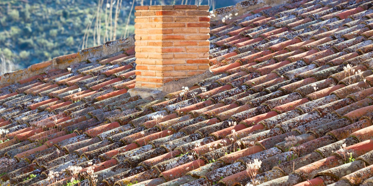 Selling A Home With An Old Roof