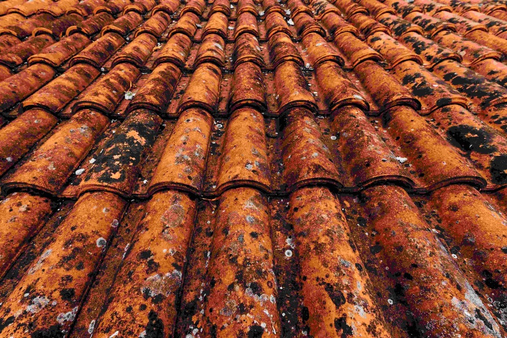 roof tiles