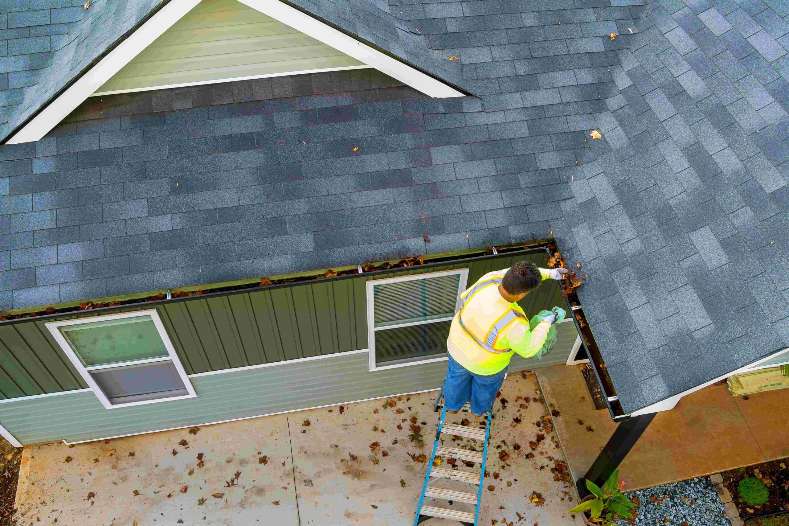 Professional Roof Inspection