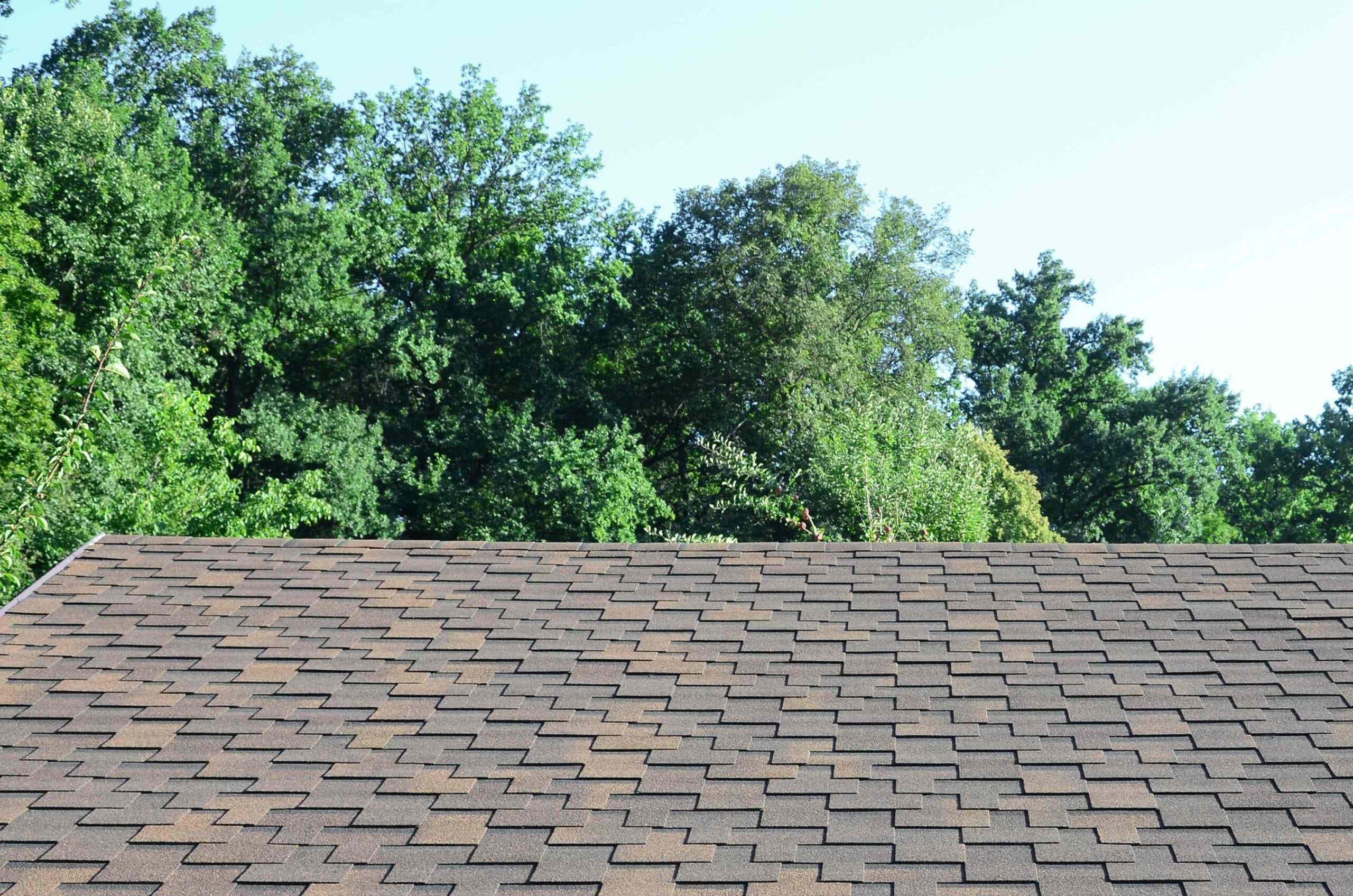 Tools and Materials for Shingle Repair